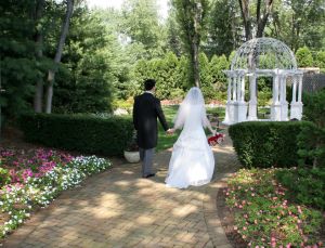 0059backshot.jpg
